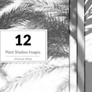 Plant schaduw overlays, lommerrijke schaduwen digitaal papier, foto overlay, plant boom bloem, schaduwlicht werpt overlays, botanische schaduw overlay