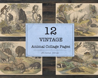 animaux vintage, classiques éphémères, images d’animaux imprimables, pièces de collage de nature, papier numérique d’art vintage, journal de pacotille