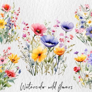 Aquarel kleurrijke wilde bloemen, Nature's Canvas: aquarel wilde bloemencollectie, grillige wilde bloemen, aquarel bloemenillustraties
