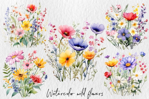 Watercolor Colorful Wildflowers, Nature's Canvas: Watercolor Wild