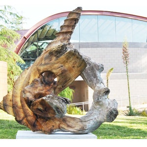 wood sculpture abstract &quot;Natural law&quot;