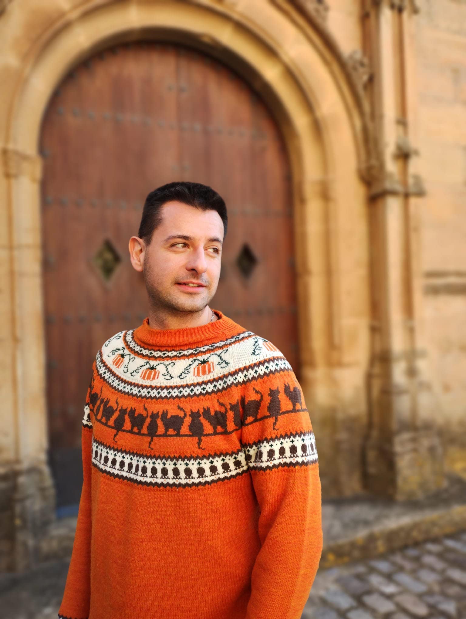Pumpkins cats handmade sweater jumper. Acrylic Vegan Wool, fall Halloween Christmas Autumn Witch Wizard