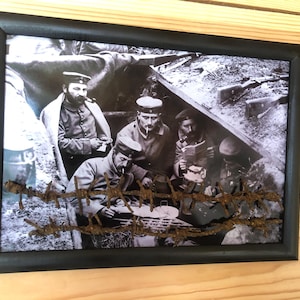 WW1 Original German Barbed Wire Display | Wall Hanging or Desktop | WWI Collectible Gift