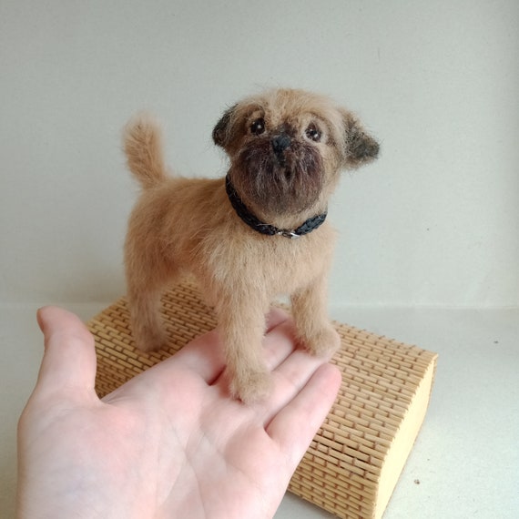 miniature griffon dog