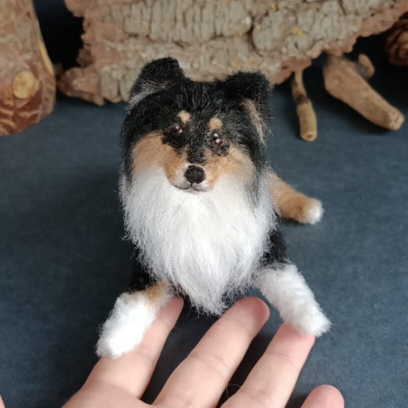small shetland sheepdog