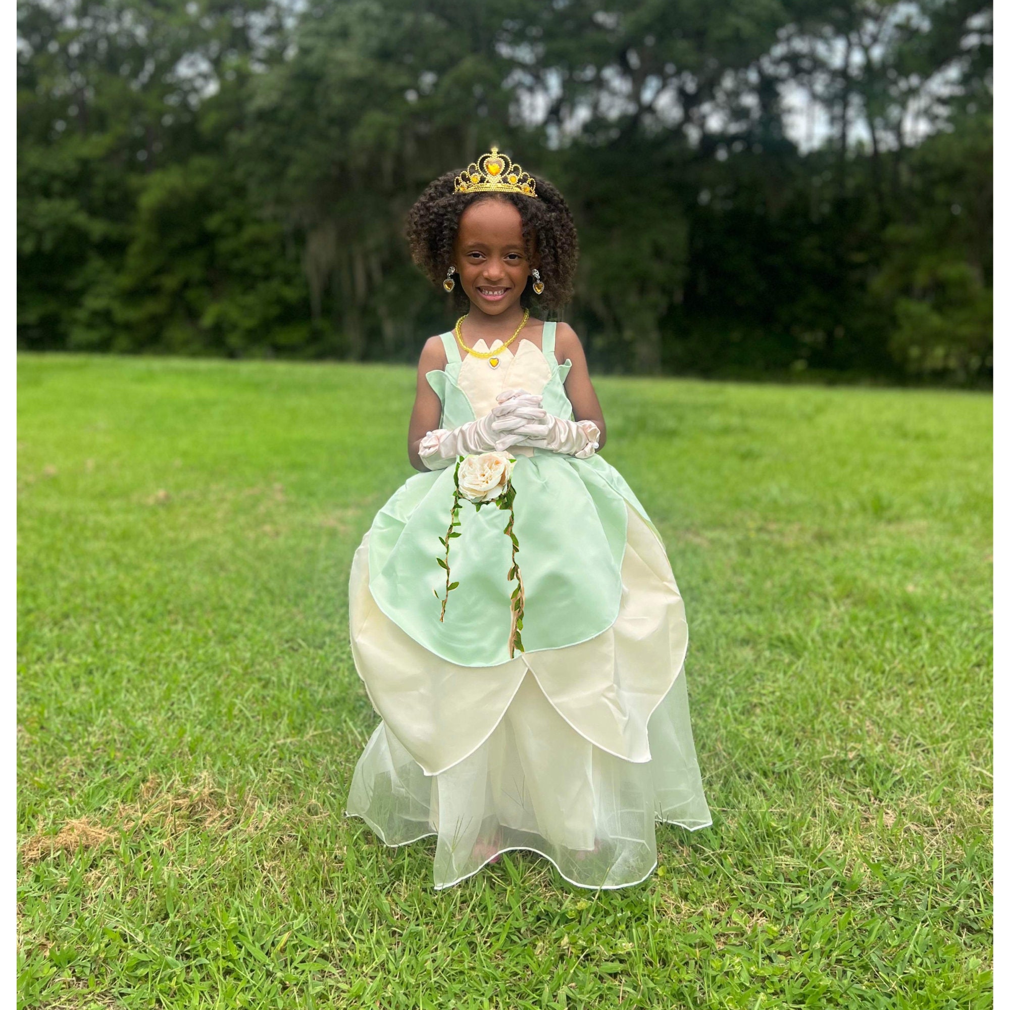 Buy Tiana Dress & Accessories, Tiana Dress, Princess and the Frog, Princess  Tiana Costume, Princess Tiana PERSONALIZED GIFT SET Online in India 