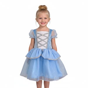 Cinderella dress Princess costume Cinderella dress-up image 1