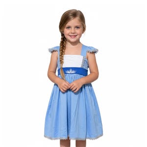 May include: A light blue dress with a white bodice and a blue waist band featuring a silver snowflake design. The dress has short sleeves with silver trim and a matching silver trim along the hemline. The girl is wearing a long braid.