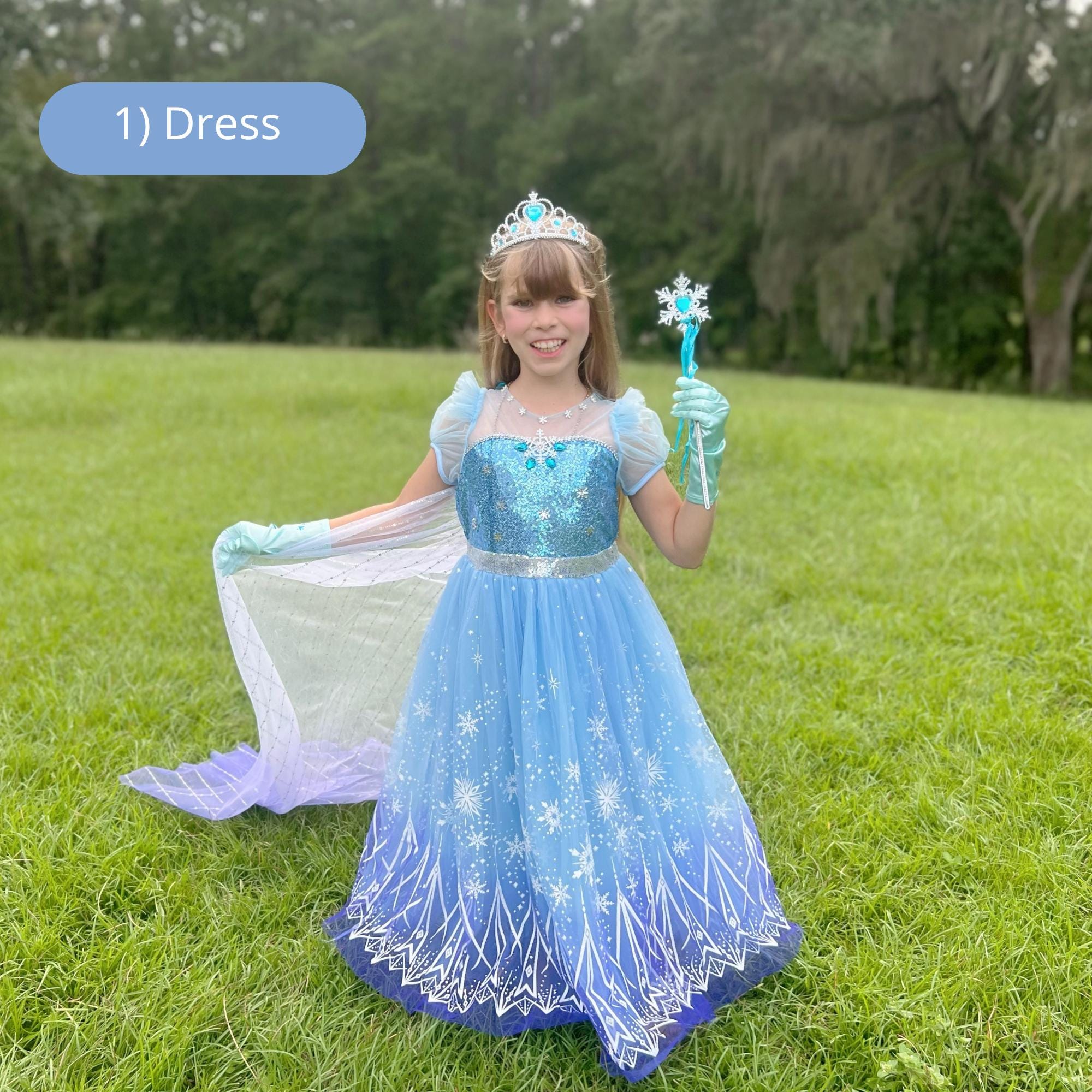Deluxe Elsa Dress PERSONALIZED GIFT SET. Frozen Elsa Dress \u0026 Accessories,  Ice Queen Elsa Frozen Costume for Dress Up. - Etsy