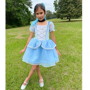 May include: A light blue dress with a white bodice and a layered skirt. The dress features a square neckline, puff sleeves, and silver trim. The girl is wearing silver shoes and a blue bow.