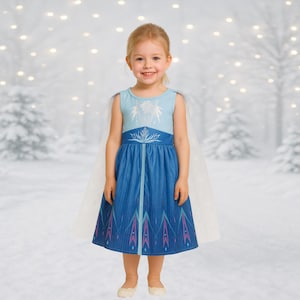 Elsa dress Frozen Elsa dress Ice Queen Elsa Frozen 2 dress up costume Princess Halloween dress