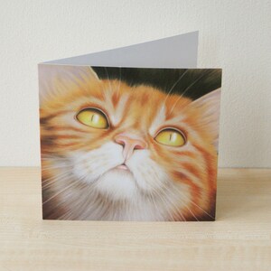 May include: A close-up of a ginger cat with bright yellow eyes looking upwards. The cat has a white chin and chest.