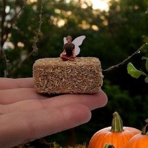 May include: A tiny figure with white wings sits cross-legged on a small hay bale. The scene is set outdoors with pumpkins in the foreground and a blurred green background. The hay bale is held in a hand.