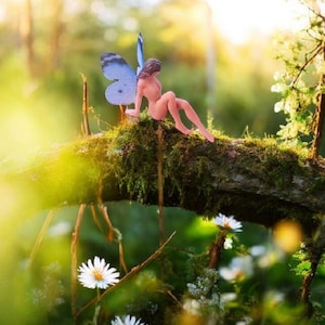 Puede incluir: Una figura de hada en miniatura con alas de mariposa azules está sentada en una rama cubierta de musgo. El hada está desnuda, con cabello castaño, y está rodeada de margaritas blancas y un fondo borroso de bosque verde.