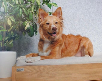 Eichenholz Hundebett, Luxus Hundemöbel, Katzenbett | Für kleine und große Haustiere
