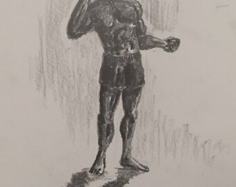 The Fighter