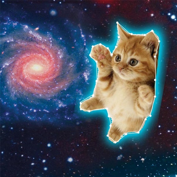 Leggings Space Cat-stellations Edition 