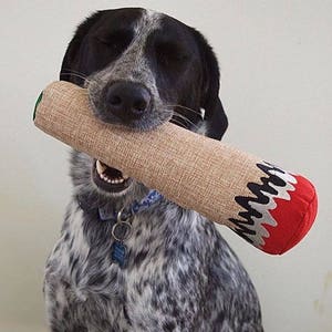 Hemp joint Cigarette Dog Toy
