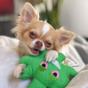 Dooby's Weed Leaf Emoji Hemp Dog Toy image 4