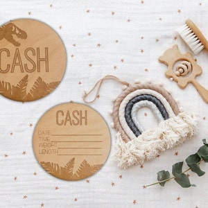 Personalized Jurassic Dinosaur Birth Announcement Sign: Baby Name Decor