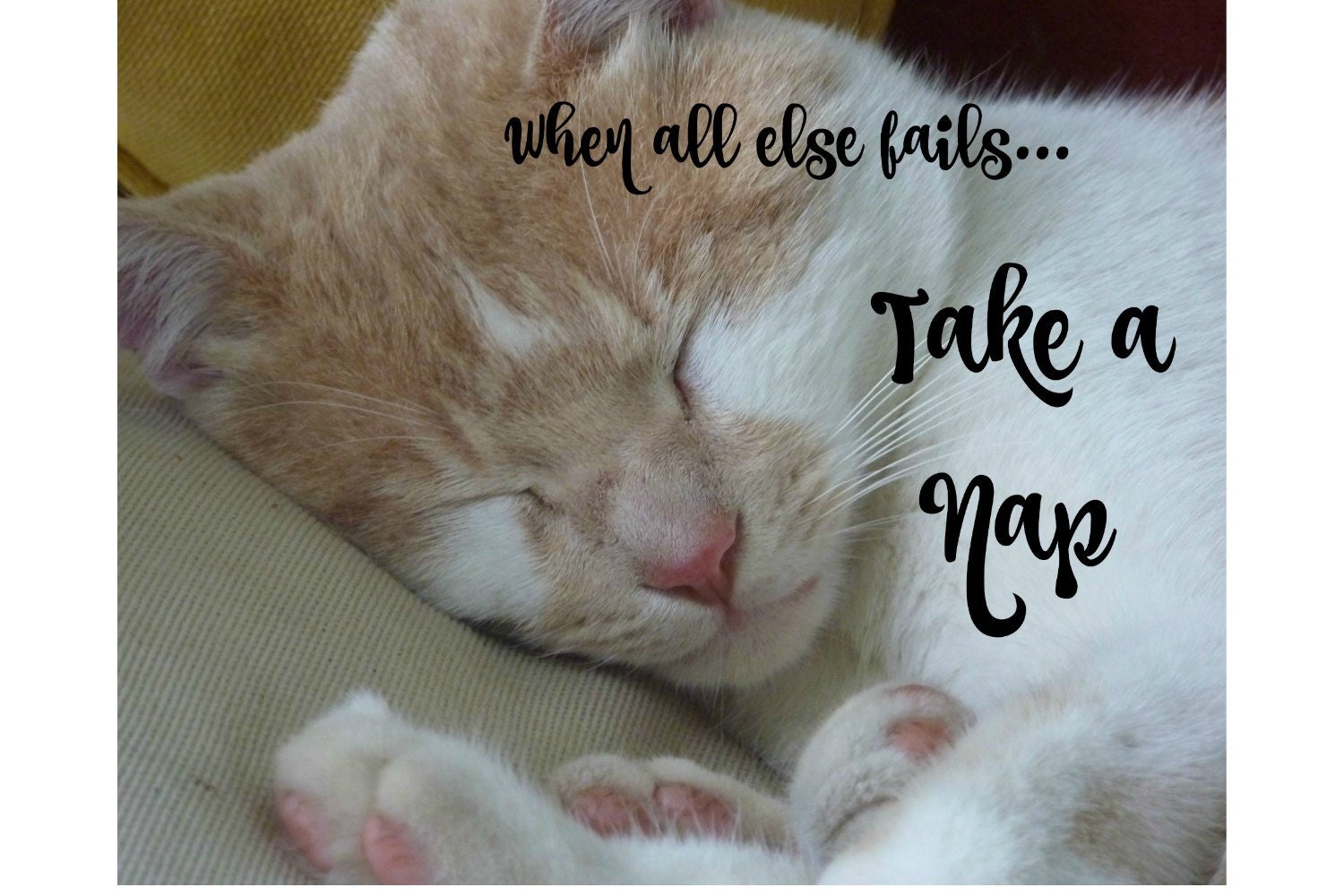 Sleeping Cat Funny Cat Quotes Word Art Pictures When All Etsy