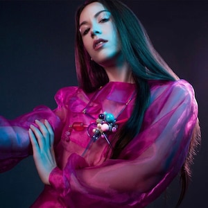 Long Sleeve Organza Shirt: Transparent Stylish Top
