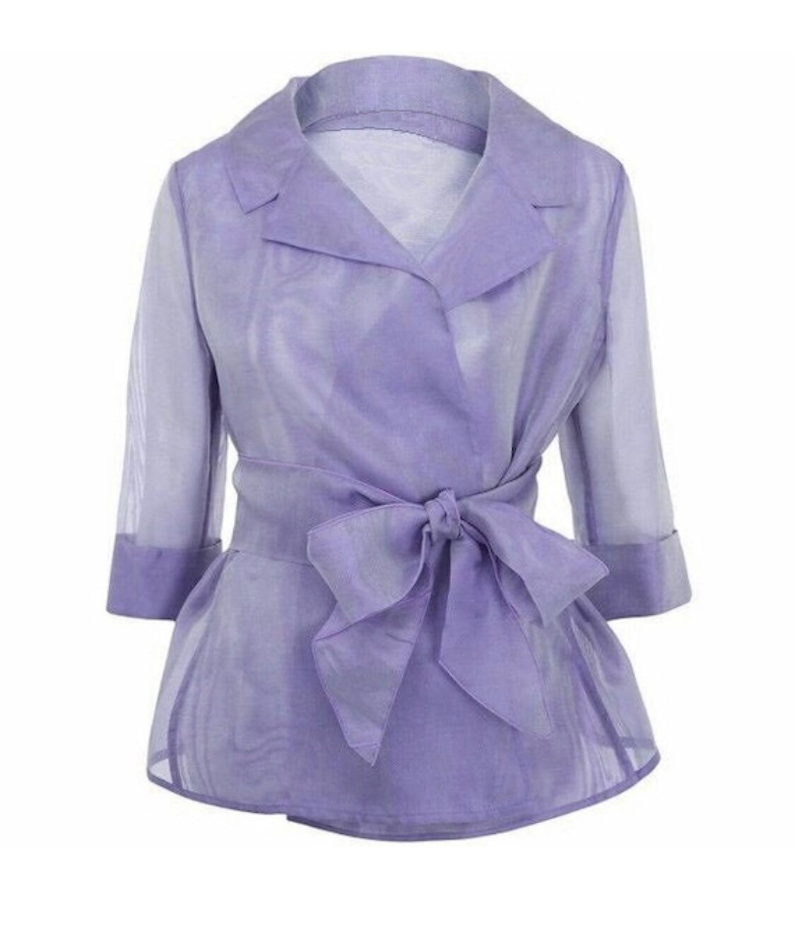 Classic Organza Transparent Jacket 