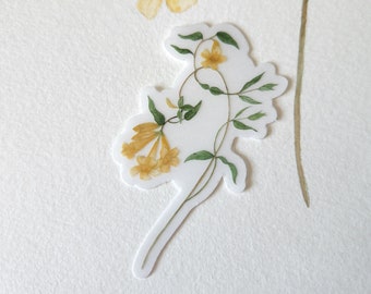 Jessamine Flower Sticker Carolina Yellow Jessamine Sticker Watercolor Jessamine Sticker Decal Waterproof Wildflower Clear Cute Sticker