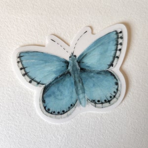 Butterfly Clear Sticker Blue Skipper Butterfly Decal Butterfly Waterproof Sticker For Laptop Or Water Bottle Watercolor Butterfly Sticker image 3