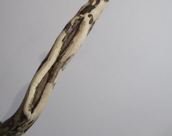 driftwood (long: 77 cm) Cheaper shipping costs if you go through Mondial Relay