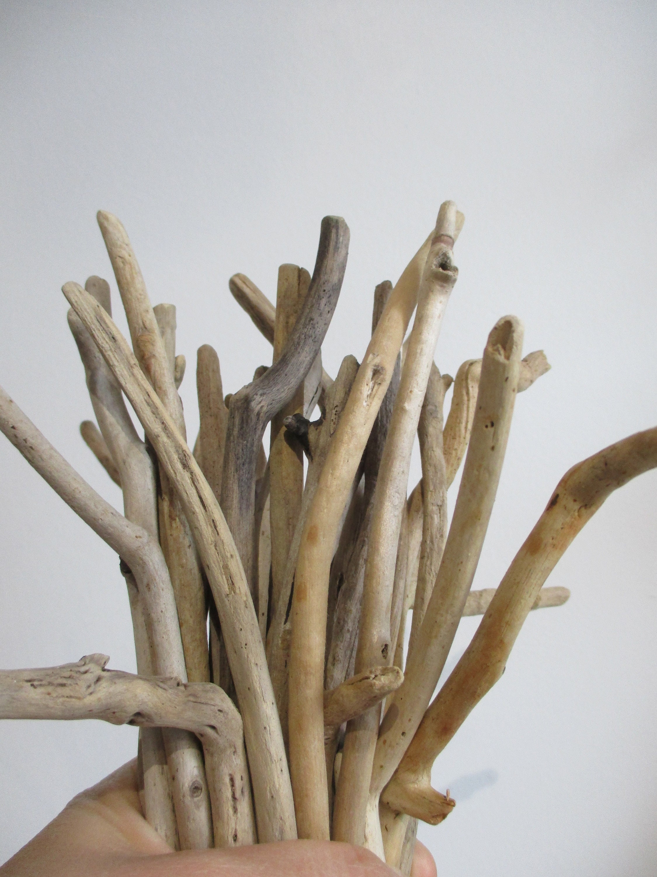 Fronde en bois en gros en forme de Y à partir de branche darbre naturel  livraison gratuite -  France