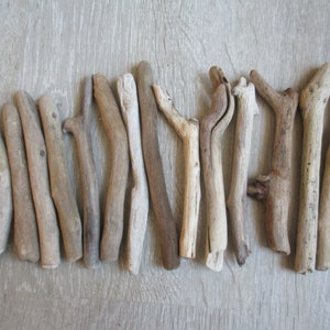 15 driftwood (long: 12.5 to 16 cm)