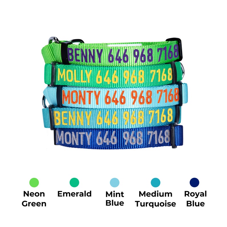 Blueberry Pet Essentials Personalized Martingale Dog Collar Etsy
