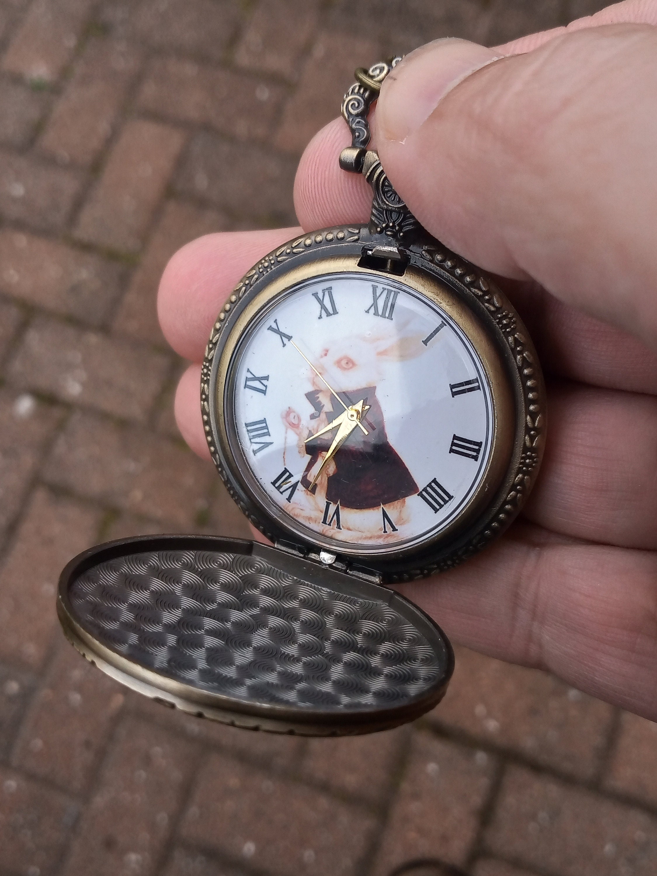 Alice nel paese delle meraviglie Mr Rabbit orologio da tasca | Etsy Italia