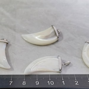 Puede incluir: Cuatro colgantes de madreperla blanca con forma de colmillo con detalles en metal plateado. Los colgantes están dispuestos sobre una superficie blanca con una regla para la escala.