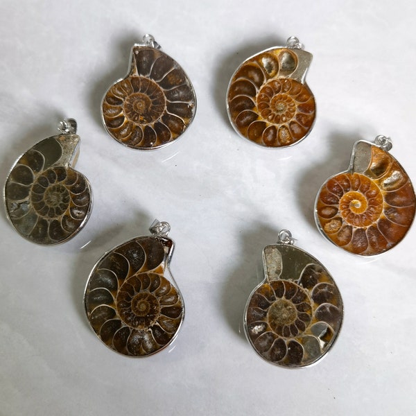 2 Sea Snail Fossil Charm Pendant , Ammonite Fossil Pendant ,Nautical Sea Shell Pendant ,Conch Fossil Pendant ,Ammonite Stone Charms ,28x38mm