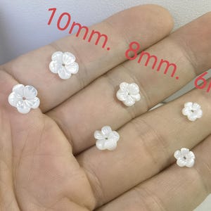 Peut inclure: Six perles en forme de fleur en coquille blanche de différentes tailles. Les perles sont étiquetées avec leur taille en millimètres : 10 mm, 8 mm et 6 mm.