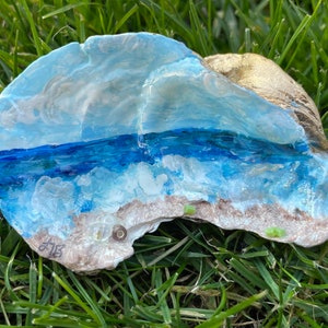 Beach #2 oyster shell