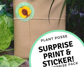 SURPRISE print & sticker pack, 8 x 10, print, sticker, art, surprise art, surprise pack, vegan art, plant art, mystery print and sticker set