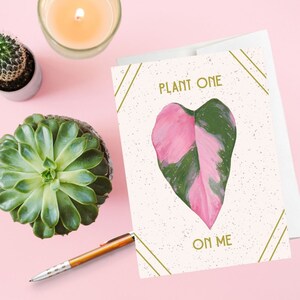 Cartão de planta, namorado, namorada, cônjuge, cartão de romance, cartão de amante, cartão de dia dos namorados, filodendro princesa rosa, amante de plantas, ecológico