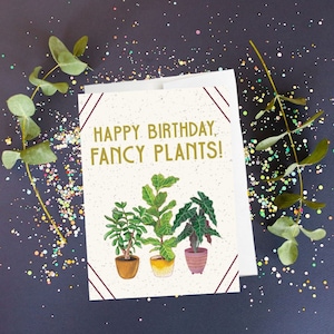 Carte d'anniversaire plante, carte de voeux plante, plante d'anniversaire, plantes d'intérieur, costume d'anniversaire, carte plante d'intérieur, amoureux des plantes, respectueux de l'environnement, recyclé
