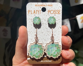 Succulent Earrings Set, houseplant earrings, dangles, sustainable jewelry, dangles and stud earrings, sustainable gift, plant earrings, pnw