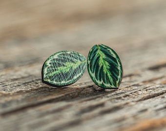 Prayer Plant stud earrings, leaf earrings, sustainable jewelry, eco friendly earrings, wood, houseplant, hypoallergenic, tropical, leafy