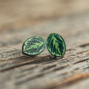 Small stud earrings with an original painting of a prayer plant leaf printed on die-cut wood.