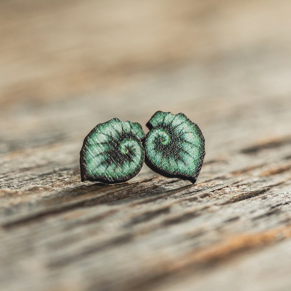 DISCOUNTED Escargot Begonia stud earrings, leaf, sustainable jewelry, eco friendly earrings,wood, houseplant, hypoallergenic, spiral, leaves