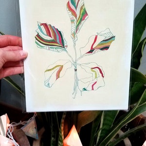 Peut inclure: Une illustration abstraite et color&eacute;e d'une feuille sur fond blanc. La feuille est dessin&eacute;e de mani&egrave;re stylis&eacute;e avec plusieurs couches de couleurs et de lignes.