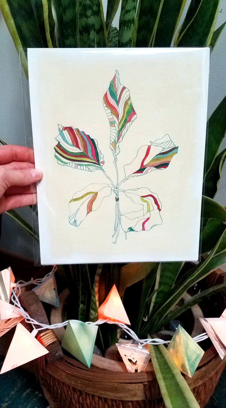 Peut inclure: Une illustration abstraite et color&eacute;e d'une feuille sur fond blanc. La feuille est dessin&eacute;e de mani&egrave;re stylis&eacute;e avec plusieurs couches de couleurs et de lignes.