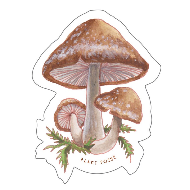 Shiitake Sticker, mushroom stickers, mushroom art, fungi, mushroom hunter, gifts under 5, stickers, laptop, waterbottle, vegan,forest,nature image 1