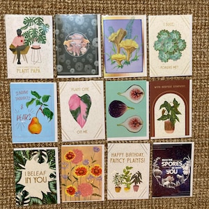 RABAIS Lot de 12 cartes de voeux, ensemble de cartes de voeux, cartes de voeux en vrac, produits frais, plantes d'intérieur, intérieur vierge, cartes personnalisées, amoureux des plantes