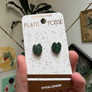 DISCOUNTED Monstera stud earrings, leaf earrings, sustainable jewelry, eco friendly, houseplant earrings, hypoallergenic, wooden earrings